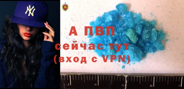 гашик Белокуриха