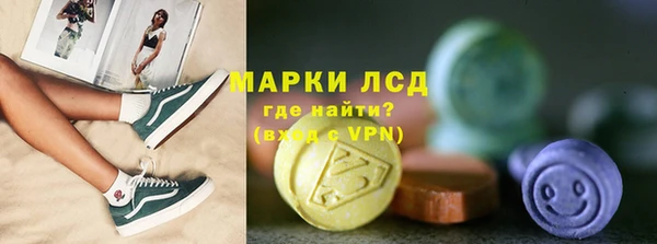 прущие грибы Бронницы