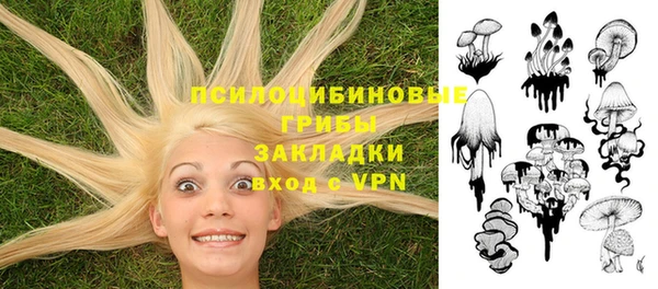 прущие грибы Бронницы