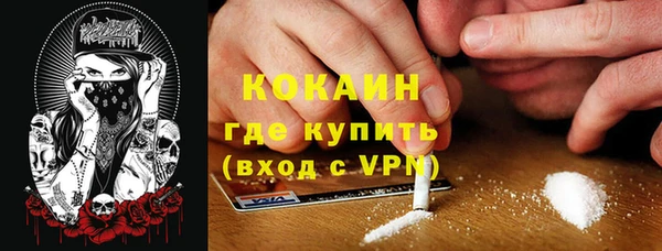 прущие грибы Бронницы