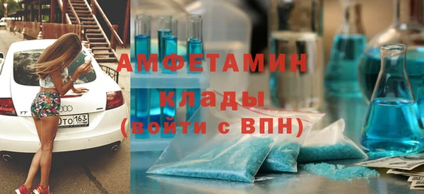 прущие грибы Бронницы