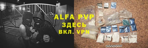 прущие грибы Бронницы