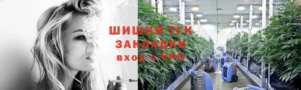 прущие грибы Бронницы